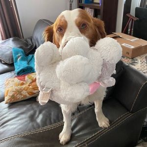 Meet your Posher, Margaret